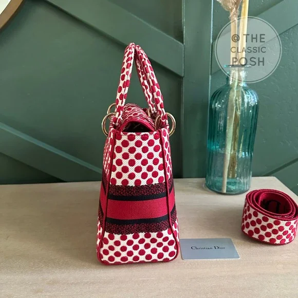 EUC  Rare Christian Dior Lady D Lite Dioramour 2020 Lady Bug Dots Satchel Bag - Picture 10 of 16